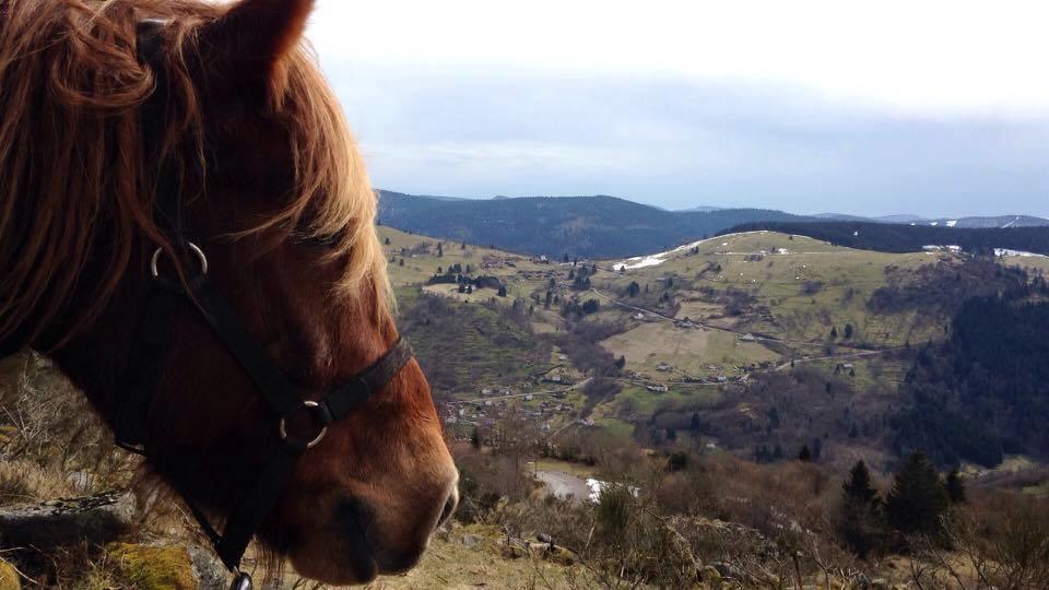 Вілла Equi'Val Ле-Толі Екстер'єр фото